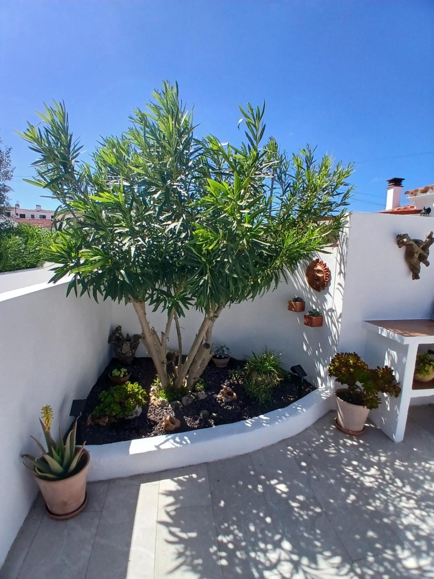 Tramontana Villa Cala En Porter  Εξωτερικό φωτογραφία